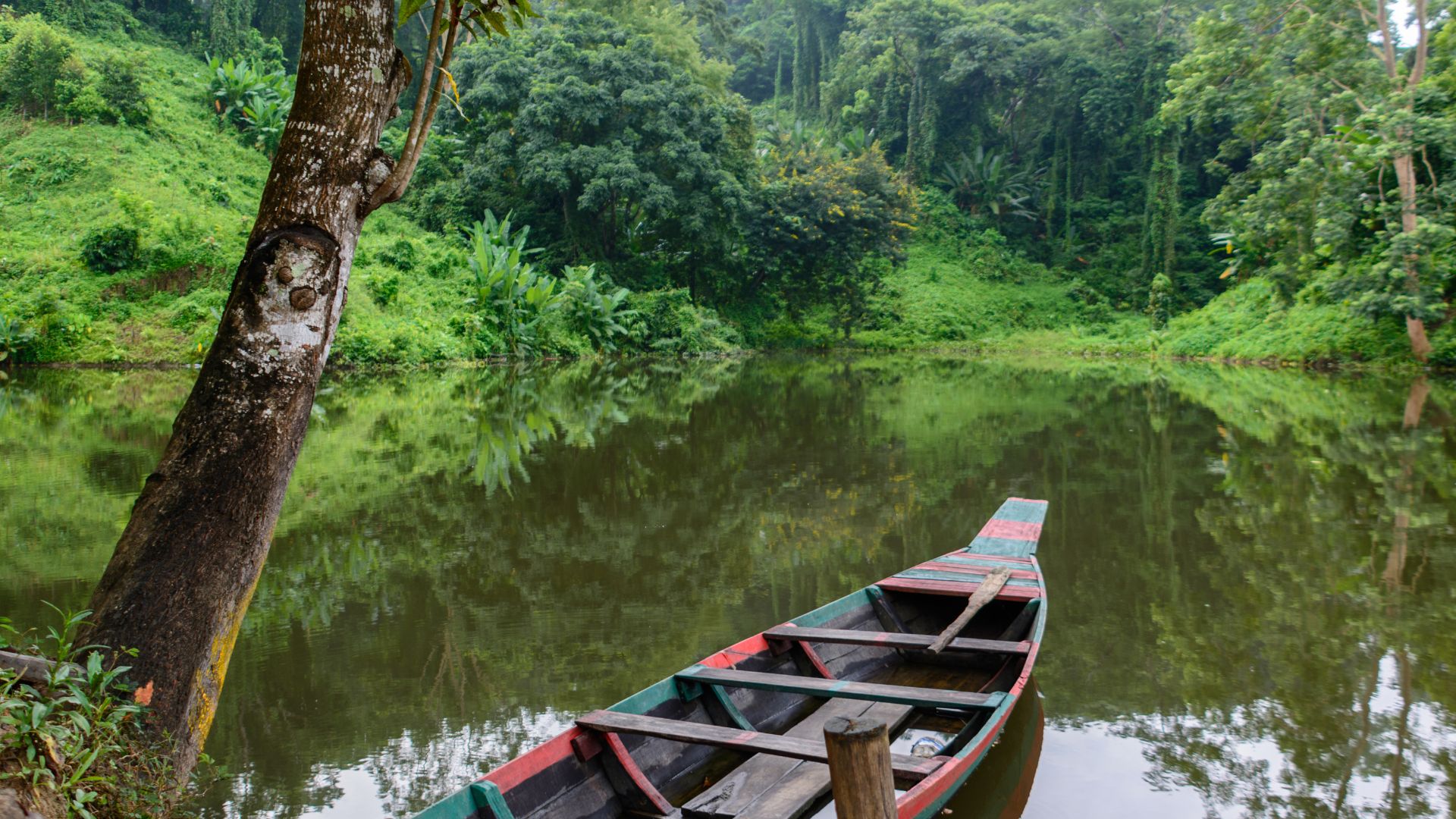 Dhaka City Guide: Top Attractions, Markets, Museums & Day Trips (2025)